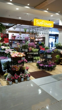 「サンフラワー」　（岡山県岡山市北区）の花屋店舗写真2